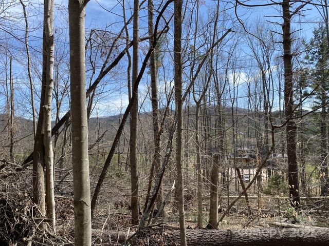 1 Pink Fox Cove Road, Weaverville, NC 28787