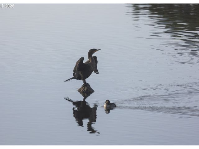 1108 S HOLLADAY Dr 14, Seaside, OR 97138