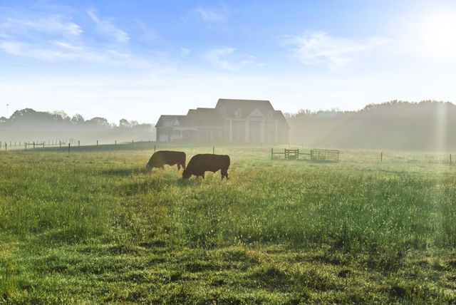 555 Williams Rd, Clarksville, TN 37043