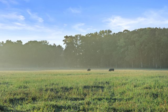 555 Williams Rd, Clarksville, TN 37043