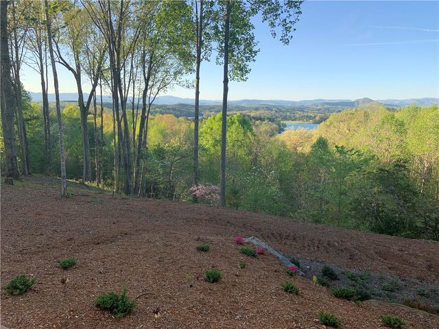 539 Cliffs Vista Parkway plus Lot 4-6, Six Mile, SC 29682