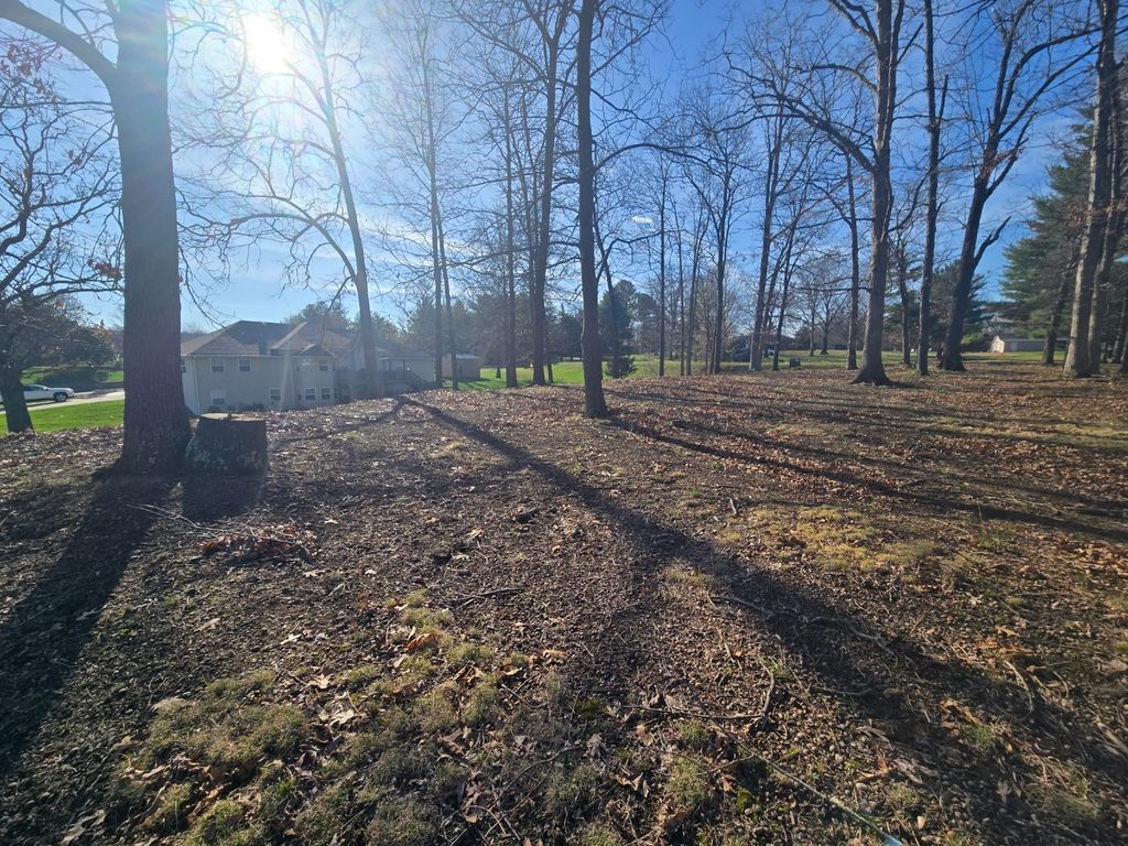 Image 3 of property listing at 000 Fox Creek, Mt Vernon, IL 62864