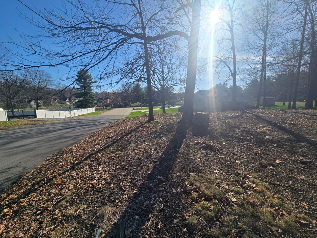 Image 4 of property listing at 000 Fox Creek, Mt Vernon, IL 62864