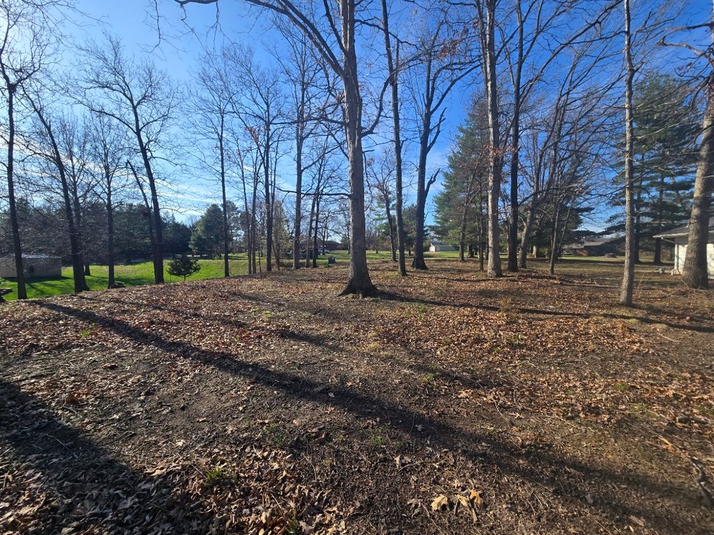Image 5 of property listing at 000 Fox Creek, Mt Vernon, IL 62864