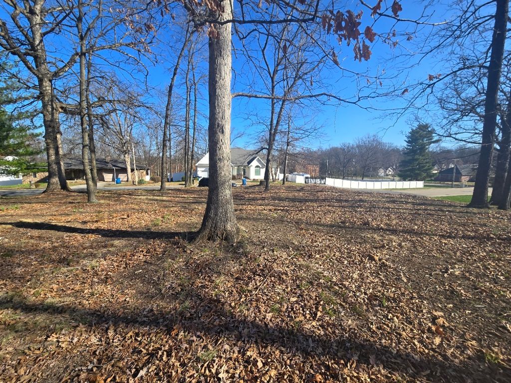 Image 6 of property listing at 000 Fox Creek, Mt Vernon, IL 62864