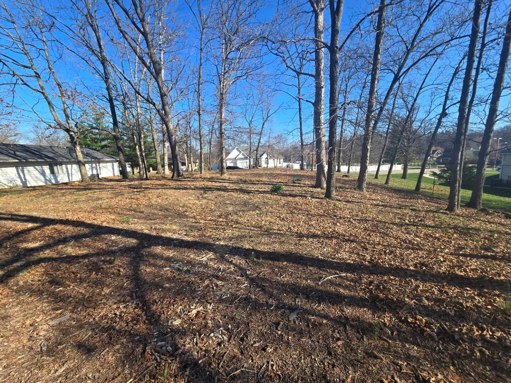 Image 8 of property listing at 000 Fox Creek, Mt Vernon, IL 62864