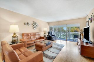 331 Tequesta Drive 213, Jupiter, FL 33469