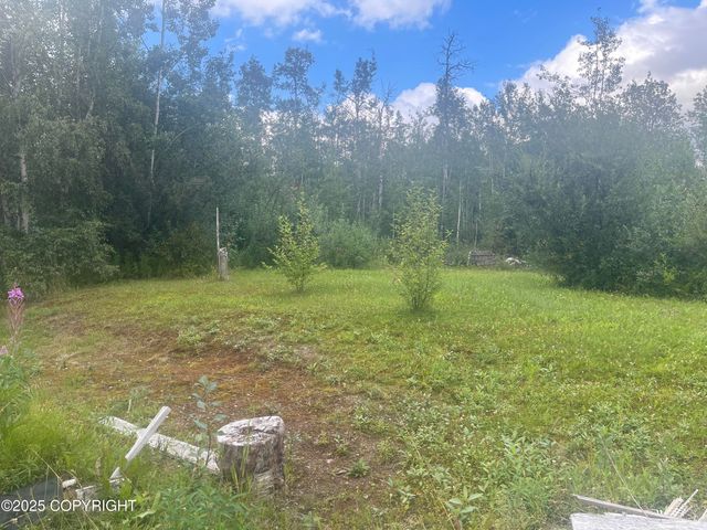 19708 E Montana Creek Road, Talkeetna, AK 99676
