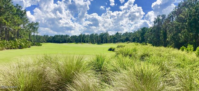 10 Acclaim At Lionspaw, Daytona Beach, FL 32124