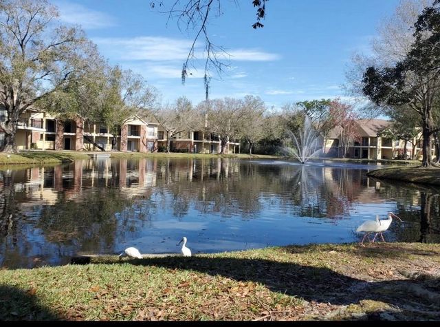 8723 FANCY FINCH DRIVE 201, Tampa, FL 33614