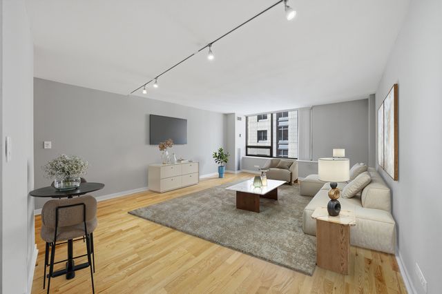 233 E Erie Street 1301, Chicago, IL 60611