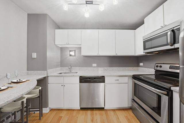 233 E Erie Street 1301, Chicago, IL 60611
