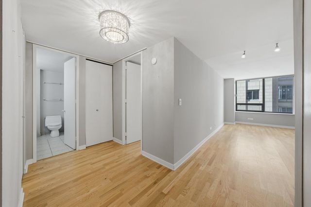 233 E Erie Street 1301, Chicago, IL 60611
