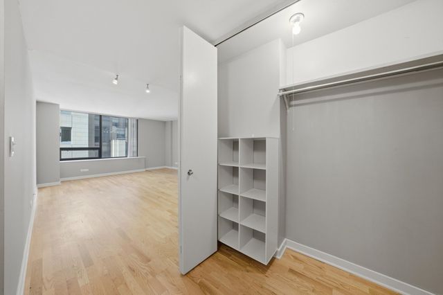 233 E Erie Street 1301, Chicago, IL 60611