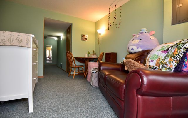 3245 Evergreen Drive, Eagan, MN 55121