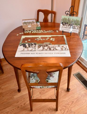 3245 Evergreen Drive, Eagan, MN 55121