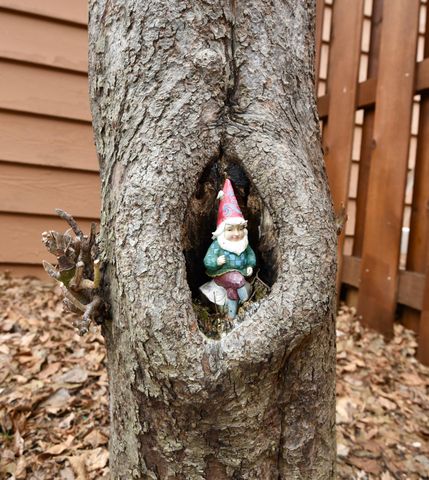 3245 Evergreen Drive, Eagan, MN 55121