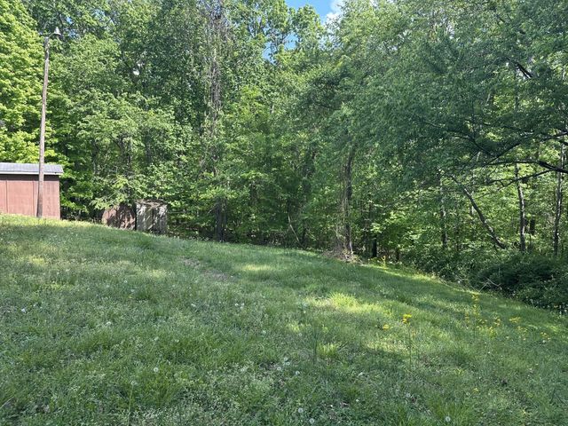 370 Wolfe Blvd, Erin, TN 37061