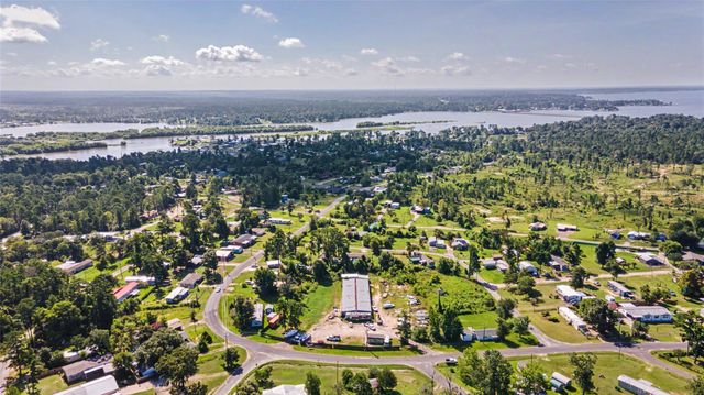 776 Yaupon Cove Drive, Onalaska, TX 77360
