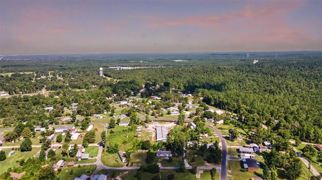 776 Yaupon Cove Drive, Onalaska, TX 77360