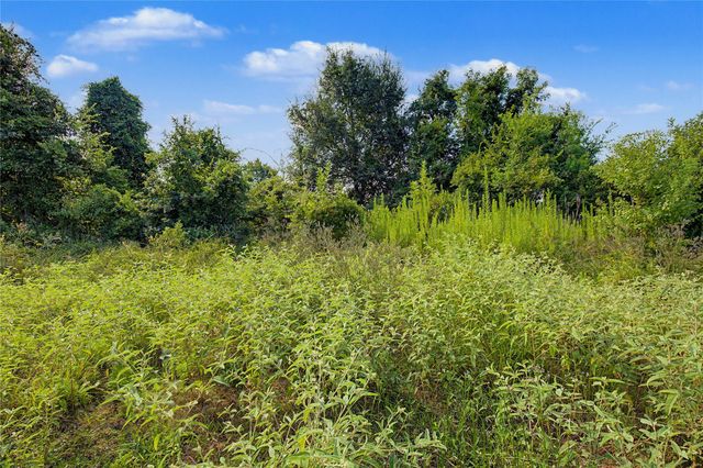 776 Yaupon Cove Drive, Onalaska, TX 77360