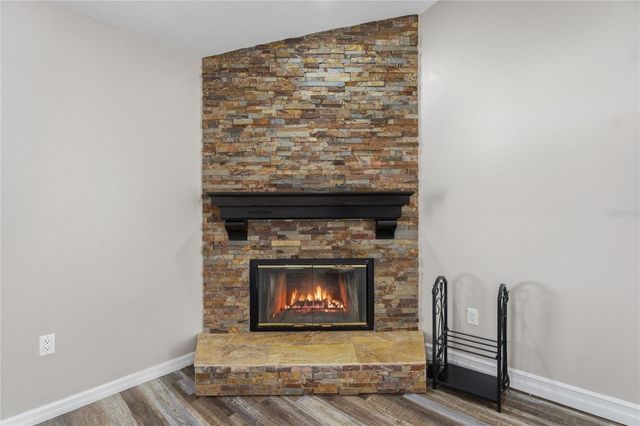 17431 ISBELL LANE, Odessa, FL 33556