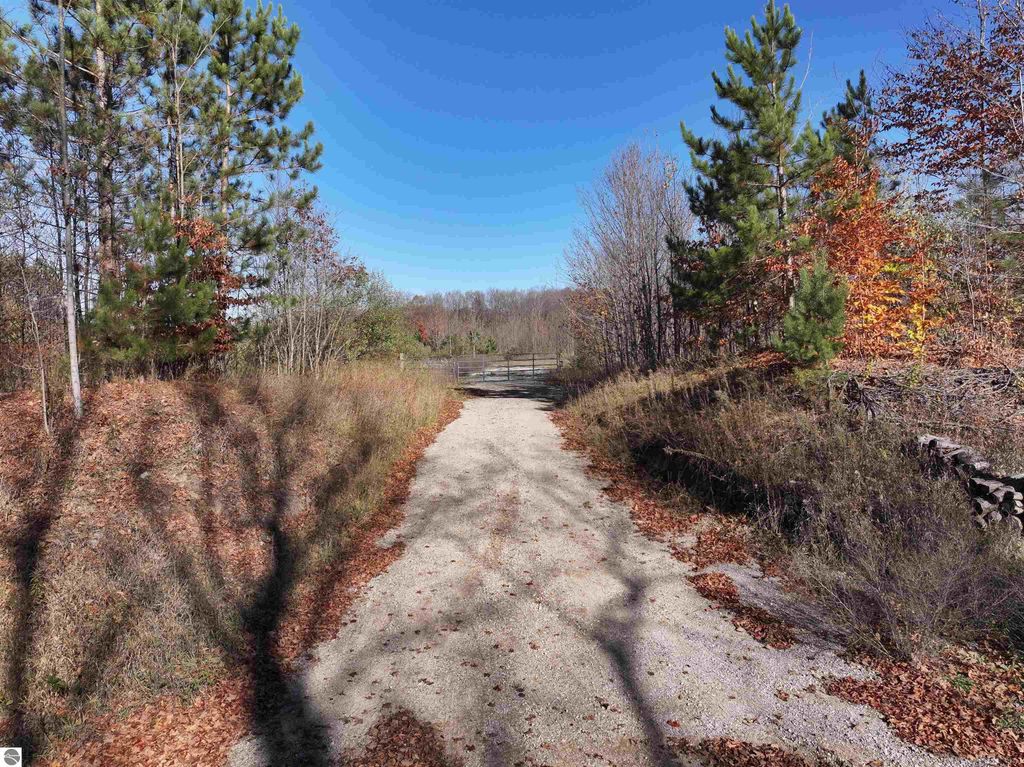 Gravel driveway leading into wooded area with autumn foliage, showcasing 8-acre parcel for sale at 6884 Zue Road, Buckley, MI, ideal for building a home or recreational use.
