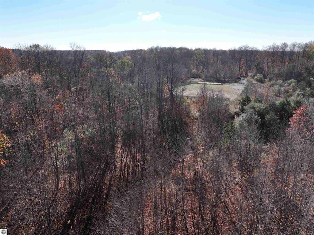 Aerial view of an 8-acre wooded parcel in Buckley, MI, showcasing a mix of trees and open space, ideal for building a home or recreational use, reflecting the natural beauty and privacy of the area.