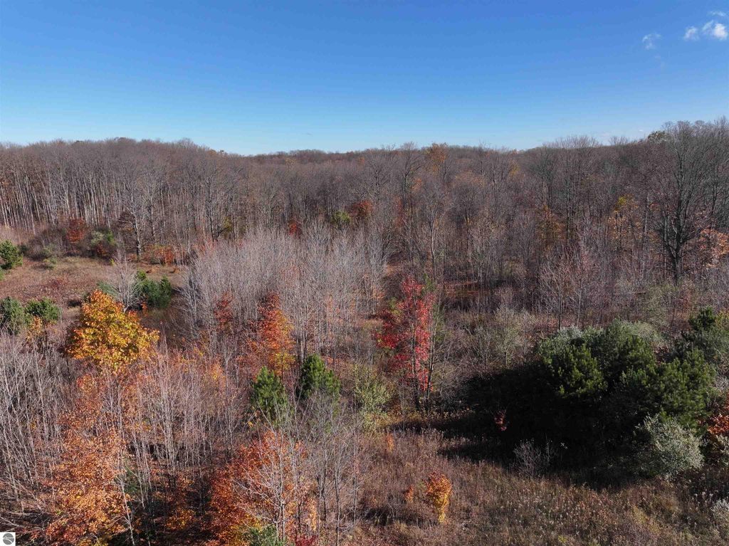Aerial view of 8-acre wooded parcel at 6884 Zue Road, Buckley, MI, showcasing vibrant fall foliage and natural landscape, ideal for privacy and outdoor recreation.