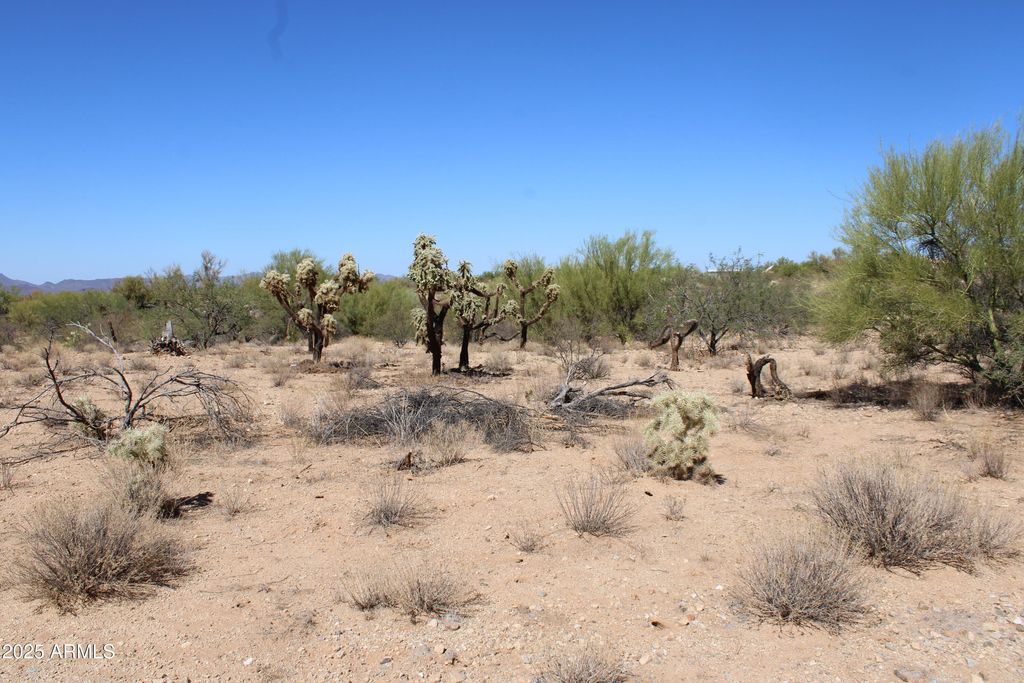 Image 3 of property listing at 14243 S SHAW Road 00331, Tucson, AZ 85736