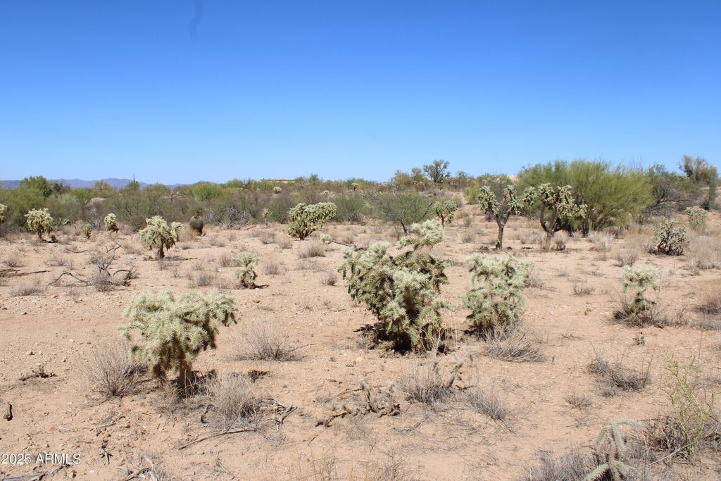 Image 4 of property listing at 14243 S SHAW Road 00331, Tucson, AZ 85736