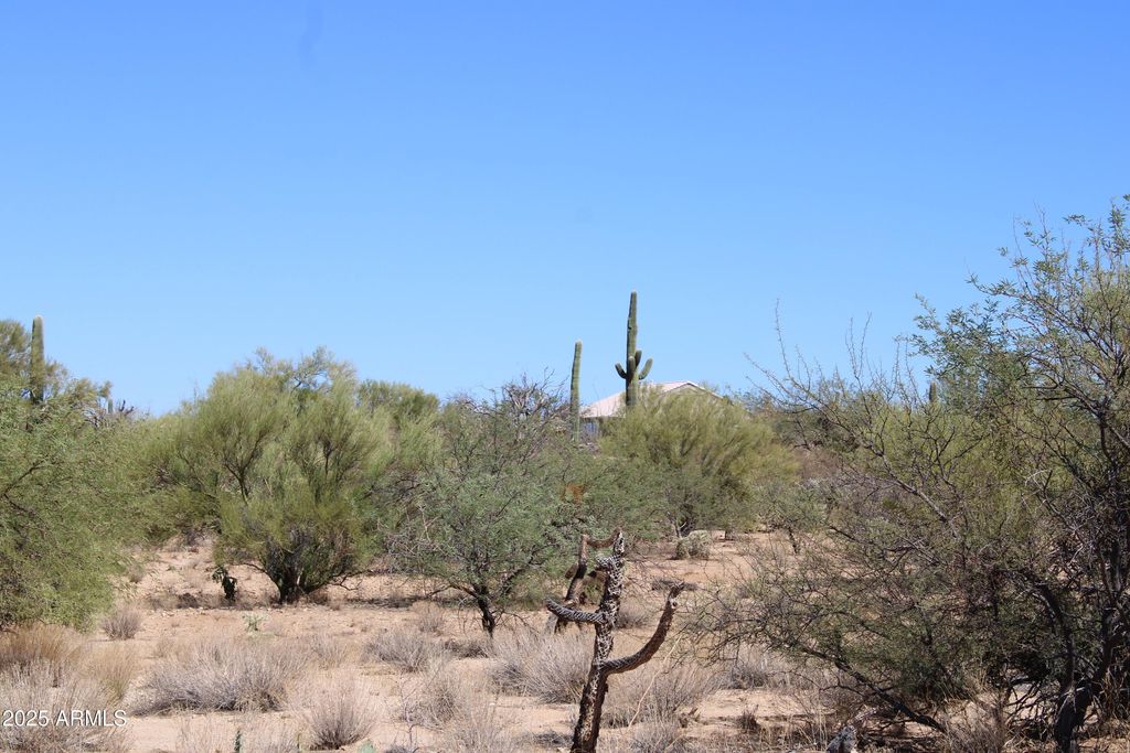 Image 5 of property listing at 14243 S SHAW Road 00331, Tucson, AZ 85736