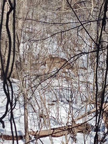 72 West Shore Road 103, Warwick, RI 02889