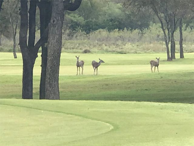 42181 Crooked Stick Drive, Whitney, TX 76692