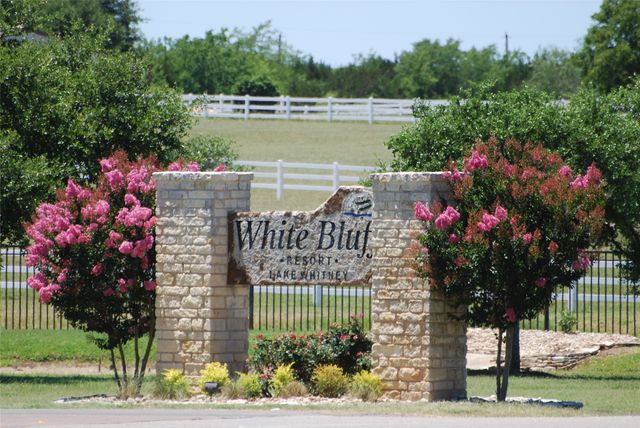 42181 Crooked Stick Drive, Whitney, TX 76692
