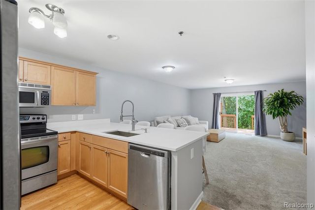 3293 Baldwin Woods Drive, Lake Orion, MI 48359