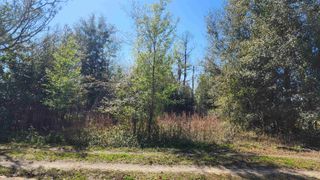 233 Bay St, Hawthorne, FL 32640