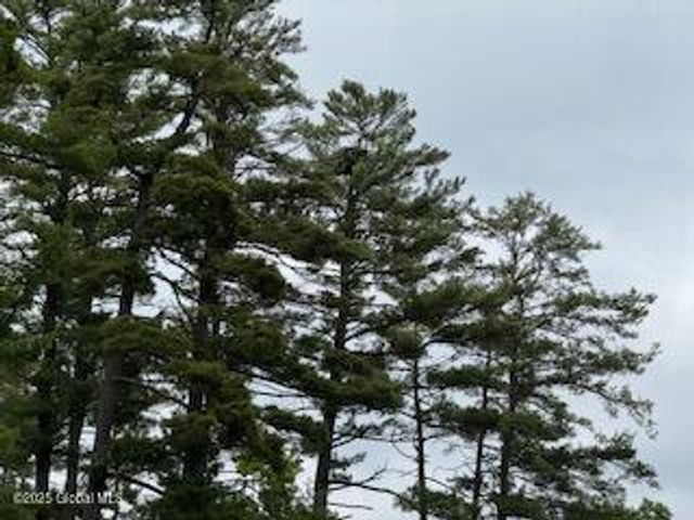8 Read Drive, Lake Luzerne, NY 12846