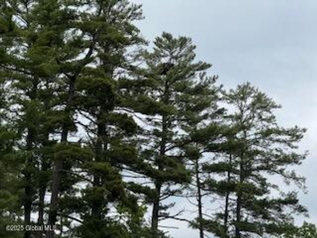 8 Read Drive, Lake Luzerne, NY 12846