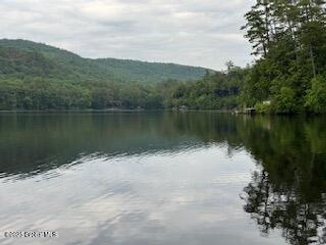 8 Read Drive, Lake Luzerne, NY 12846