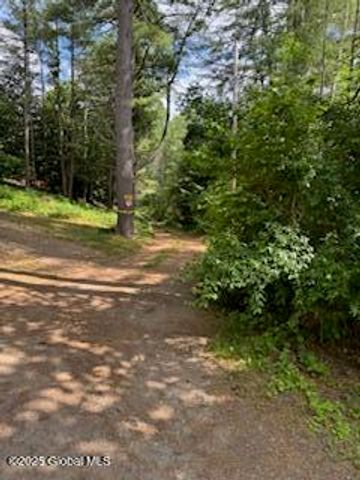 8 Read Drive, Lake Luzerne, NY 12846