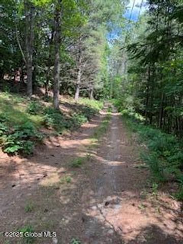8 Read Drive, Lake Luzerne, NY 12846