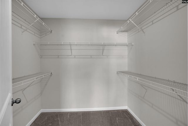 473 Walking Lane, Lexington, SC 29073