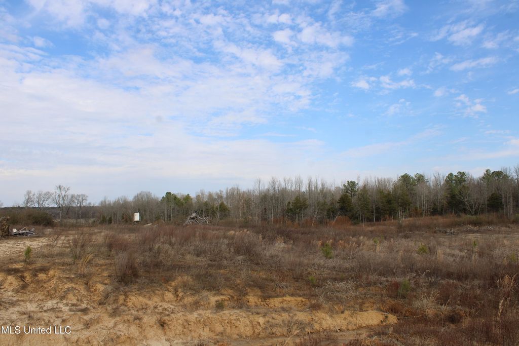 13 Taylor Nichole Road, Byhalia, MS 38611 — exterior