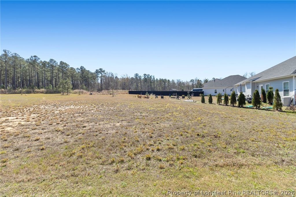 143 Western Pine Way, Sanford, NC 27332 — photo 25