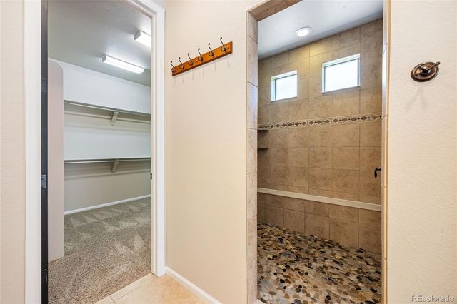 1178 Freedom Way, Castle Rock, CO 80109