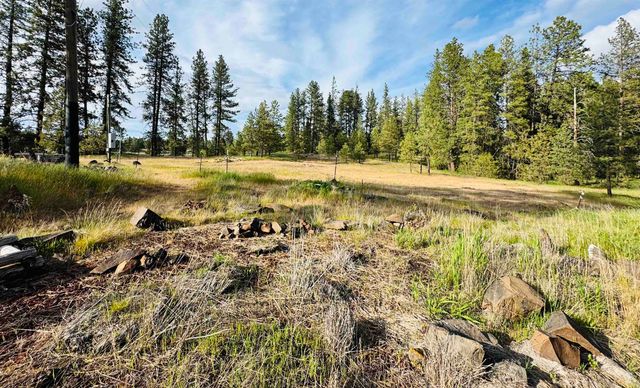 22405 W MALLOY PRAIRIE Rd, Cheney, WA 99004