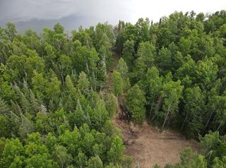 Parcel A County Road 35, Lake Jessie Twp, MN 56636