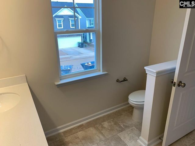 952 Bergenfield Lane, Chapin, SC 29036