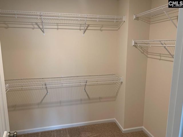 952 Bergenfield Lane, Chapin, SC 29036